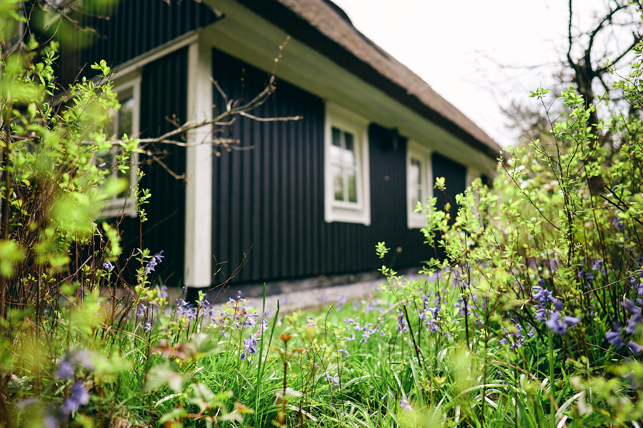 De gevel van het huis met op de voorgrond de tuin met bloemen